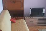 Jednosoban stan, Niš, Pravni fakultet, izdavanje, 36m2, 250e, id1419209