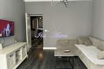 Dvosoban stan, Beograd, Slavija, izdavanje, 45m2, 750e, id1419202