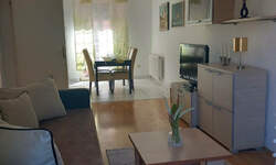 Dvosoban stan, Novi Sad, Centar, izdavanje, 45m2, 450e, id1419722