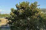 Trosoban stan, Beograd, Blok 29, izdavanje, 68m2, 750e, id1419752