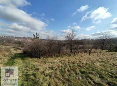 Plac, Beograd, Barič, prodaja, 0m2, 9900e, id1360455