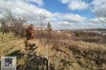 Plac, Beograd, Barič, prodaja, 0m2, 9900e, id1360455