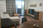 Garsonjera, Niš, Bulevar Nemanjića, izdavanje, 39m2, 450e, id1420723