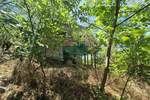Plac, Jagodina, prodaja, 0m2, 42000e, id1420757