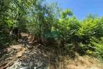 Plac, Jagodina, prodaja, 0m2, 42000e, id1420757