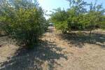 Plac, Niš, Gornja Vrežina , izdavanje, 2000m2, 700e, id1421283