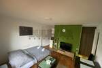 Garsonjera, Niš, Medicinski fakultet, izdavanje, 22m2, 270e, id1421286
