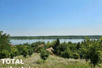 Kuca, Sremski Karlovci, Sremski Karlovci, prodaja, 70m2, 247200e, id1421294