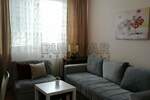 Dvosoban stan, Kragujevac, Bubanj, izdavanje, 47m2, 300e, id1193759