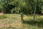 Kuca, Sombor, prodaja, 282m2, 123600e, id1421305