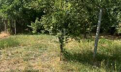 Kuca, Sombor, prodaja, 282m2, 123600e, id1421305