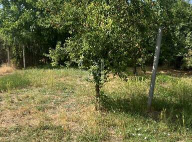Kuca, Sombor, prodaja, 282m2, 123600e, id1421305