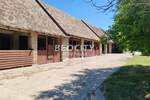 Kuca, Irig, Neradin, prodaja, 800m2, 3264000e, id1421330