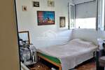 Garsonjera, Beograd, Banovo brdo, izdavanje, 25m2, 250e, id1395462