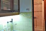 Garsonjera, Beograd, Banovo brdo, izdavanje, 25m2, 250e, id1395462