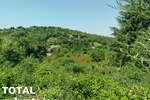 Plac, Sremska Kamenica, Popovica, prodaja, 5065m2, 234800e, id1421854