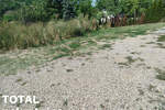 Plac, Sremska Kamenica, Popovica, prodaja, 5065m2, 234800e, id1421854
