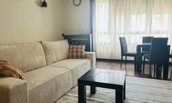 Dvosoban stan, Beograd, Crveni Krst, izdavanje, 47m2, 700e, id1421860