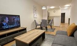 Dvosoban stan, Beograd, Juzni Bulevar, izdavanje, 48m2, 690e, id1422925