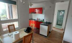 Dvosoban stan, Beograd, Cvetkova Pijaca, izdavanje, 55m2, 500e, id1422930