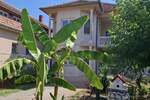 Kuca, Paraćin, prodaja, 248m2, 137000e, id1422956