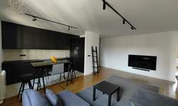 Trosoban stan, Beograd, Južni bulevar, izdavanje, 68m2, 1200e, id1422966