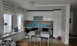 Dvosoban stan, Beograd, Južni Bulevar, izdavanje, 56m2, 1000e, id896709