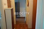 Dvosoban stan, Novi Sad, Novo Naselje, izdavanje, 45m2, 350e, id1423386
