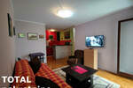 Jednoiposoban stan, Novi Sad, Podbara, izdavanje, 43m2, 300e, id1423924