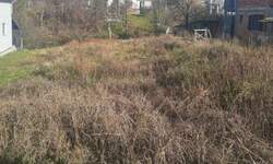 Plac, Beograd, Banjica, prodaja, 0m2, 155000e, id1423929