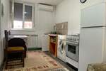 Garsonjera, Beograd, Borca, izdavanje, 25m2, 220e, id1424505