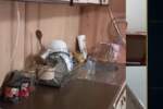 Troiposoban stan, Niš, Pasi poljana, izdavanje, 62m2, 180e, id1424587