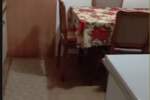 Troiposoban stan, Niš, Pasi poljana, izdavanje, 62m2, 180e, id1424587