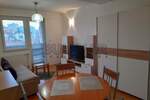 Jednosoban stan, Niš, Crveni pevac, izdavanje, 29m2, 300e, id867234