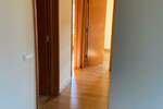 Poslovni prostor / Lokal, Beograd, Južni bulevar, izdavanje, 115m2, 900e, id1425125