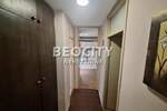 Dvosoban stan, Novi Sad, Liman 3, izdavanje, 35m2, 300e, id1425157