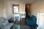 Jednosoban stan, Beograd, Dimitrija Tucovića, izdavanje, 30m2, 490e, id1425693