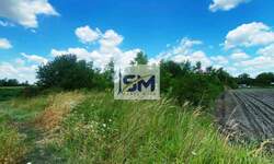 Plac, Beograd, Borča, prodaja, 0m2, 33000e, id1425695