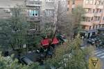 Trosoban stan, Beograd, Dorćol, izdavanje, 73m2, 950e, id1425698