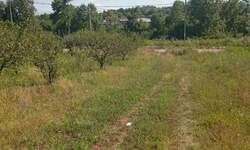 Plac, Beograd, Mali Požarevac, prodaja, 0m2, 15600e, id1421887