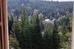 Dvosoban stan, Kopaonik, prodaja, 35m2, 35000e, id1426755