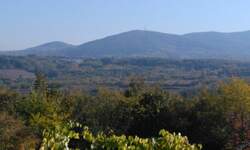 Plac, Beograd, prodaja, 5400m2, 2000e, id1427750
