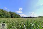 Plac, Ub, Kršna glava, prodaja, 0m2, 39000e, id1427764