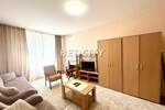 Jednosoban stan, Novi Sad, Sajam, izdavanje, 30m2, 300e, id1427787