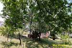 Kuca, Stara Pazova, Stari Banovci, prodaja, 54m2, 82000e, id1427829