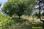 Kuca, Stara Pazova, Stari Banovci, prodaja, 54m2, 82000e, id1427829
