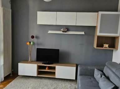 Dvosoban stan, Beograd, Crveni Krst, izdavanje, 43m2, 750e, id1427875