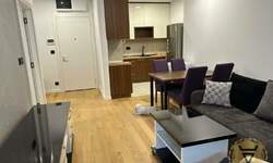 Dvosoban stan, Beograd, Crveni Krst, izdavanje, 46m2, 700e, id1427882
