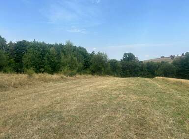 Plac, Zlatibor, Zlatibor, prodaja, 600m2, 39000e, id1428391