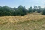 Plac, Zlatibor, Zlatibor, prodaja, 600m2, 39000e, id1428391